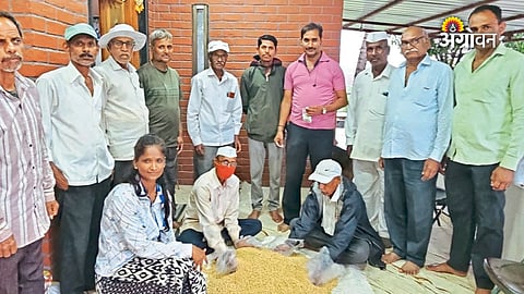 Collective farming initiative in Kadus