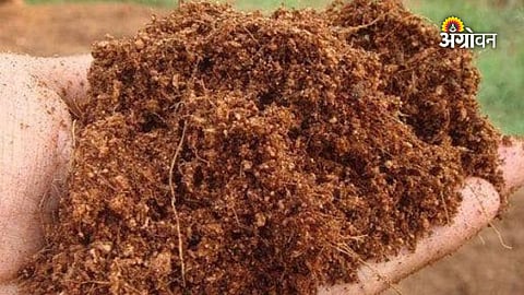 GST free coco peat for farmers