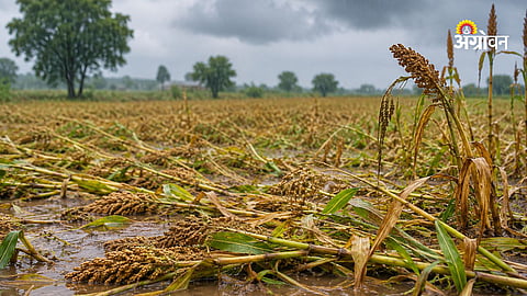 Crop Damage Compensation