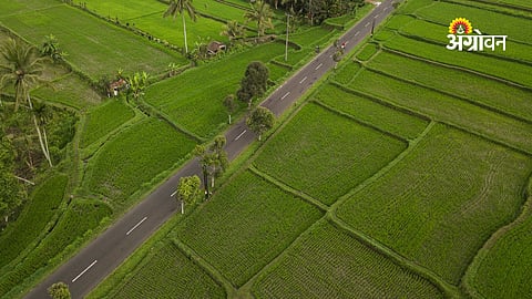 Agricultural Land