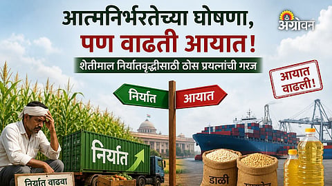 Government agriculture export strategy