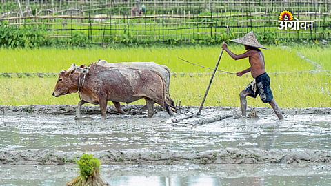 Farmers waiting for monsoon rains