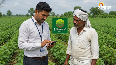 Digital Crop Survey