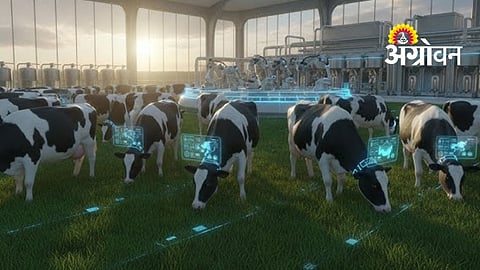 New Technologies Key to Higher Milk Yield