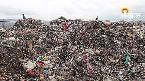 Waste Management