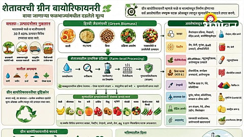 Green Biorefinery Technology