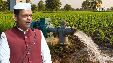 Agriculture Electricity Bill
