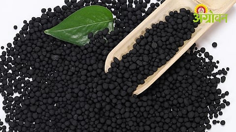 Farmers Face DAP Scarcity and Fertilizer Linking Issues