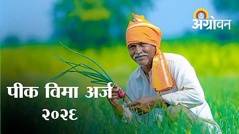 Farmers Can Apply Online for Kharif Crop Insurance Until July 31