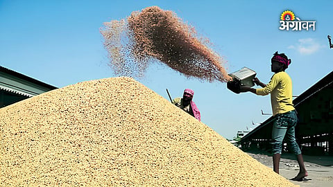 Paddy Payment Dues Cleared