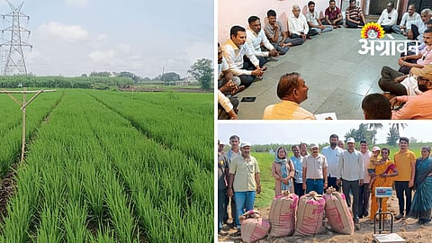 Sulkud Village Success Story