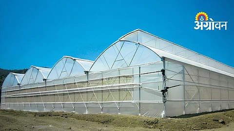 Polyhouse Farming