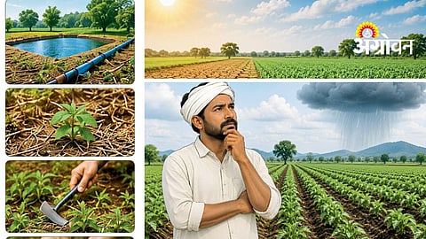 Crop Management