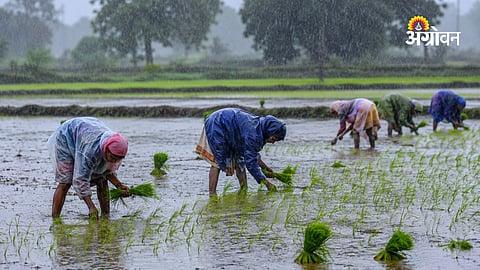Maharashtra Rain Update