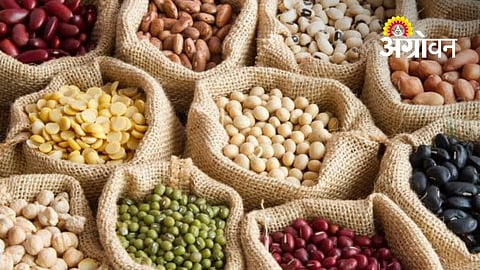 Hingoli Cracks Down on Poor Quality Seed Companies