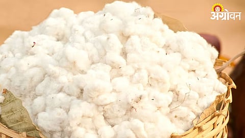 China Cotton Yarn Export