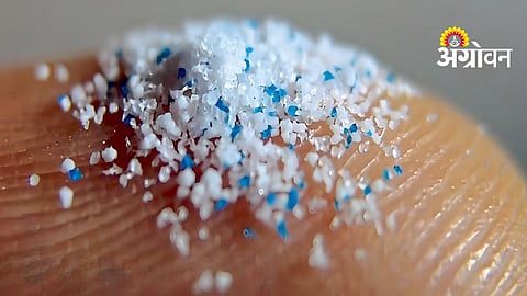 Microplastics In Food