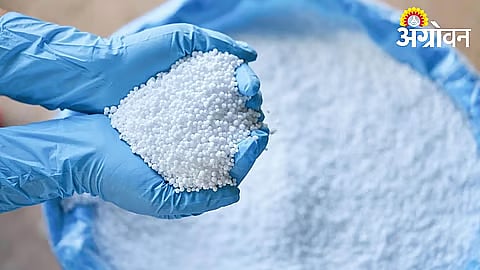 Congress Leaders Seek Immediate Release of Urea Buffer Stock