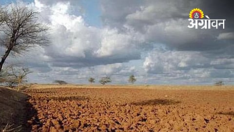 Farmers Await Rain as Nanded Faces Weak Monsoon