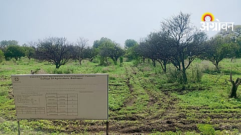 Agriculture Research Centre Issue