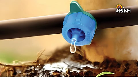 Drip Irrigation Subsidy Delay