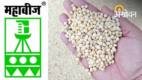 MahaBeej Faces Highest Number of Soybean Seed Complaints