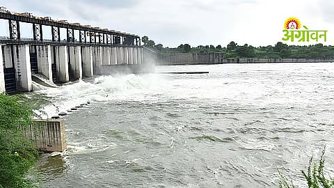 Poor Rainfall Threatens Kharif Crops Across Nanded