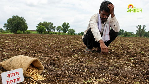 Agricultural Inputs