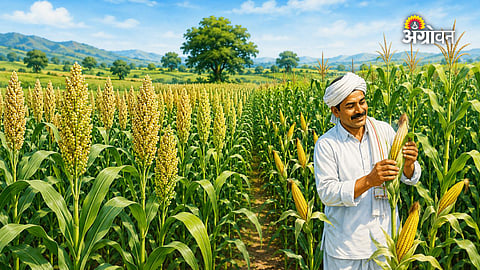 Kharif sorghum acreage expansion