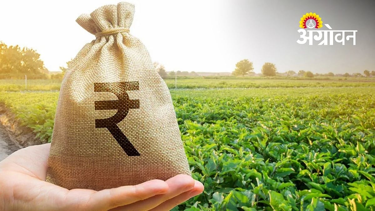 कर्जमाफीचा पहिला टप्पा: १७ लाख शेतकऱ्यांना १३ हजार कोटींचा लाभ