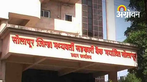 Court Hearing on Solapur Cooperative Elections