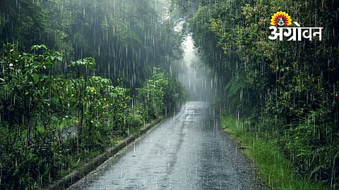 Parbhani, Hingoli Receive Light Rain After Dry Spell