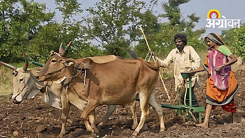 Agriculture Credit Score