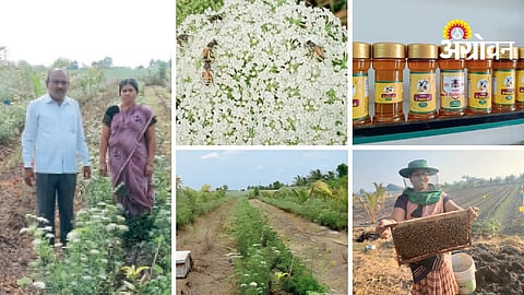 Beekeeping Success Story