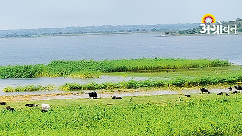 Heavy Rain Impact