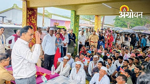 Support Chief Minister Solar Project: Collector