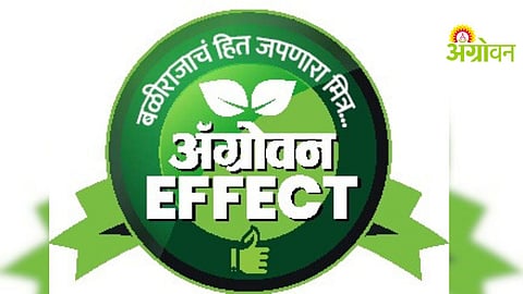 CSC Crop Insurance Services