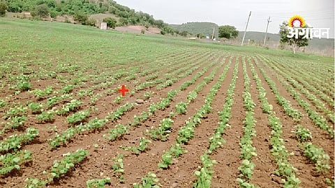 Rainfall Deficit Impacts