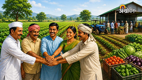 Krushidhan collective farming model