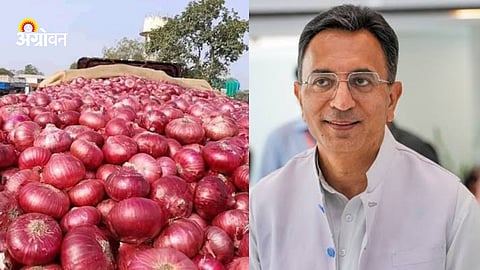Onion Rate In Maharashtra