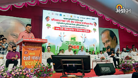 Maharashtra livestock research initiative
