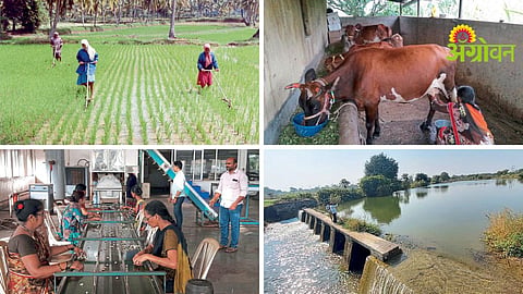 Gram Panchayat Development Plan