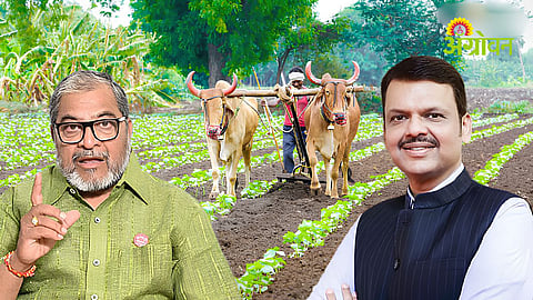 Farm Loan Waiver