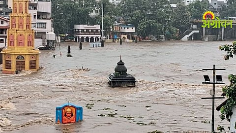 Nashik Rain Update
