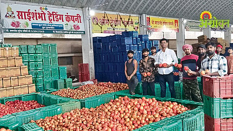 Pomegranate Price