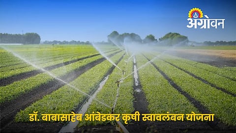 SC Farmers Can Apply for Agriculture Subsidy