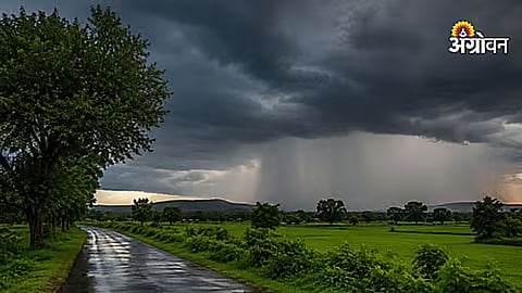 Parbhani and Hingoli Receive Widespread Rain