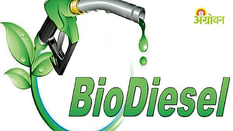 Biodiesel Exports