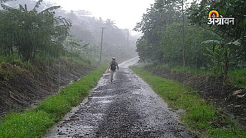 Western Nashik Receives Heavy Rainfall