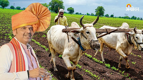 Farm Loan Waiver